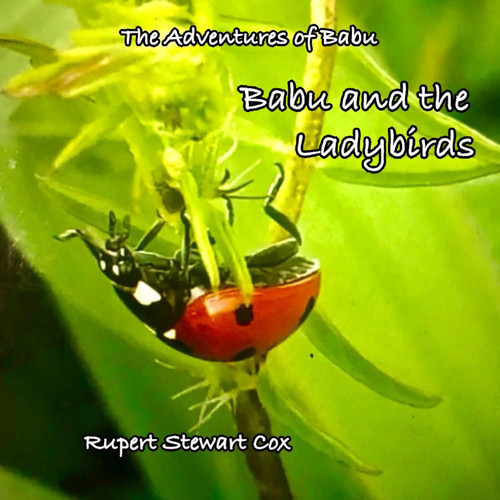 Babu and the Ladybirds (The Adventures of Babu)