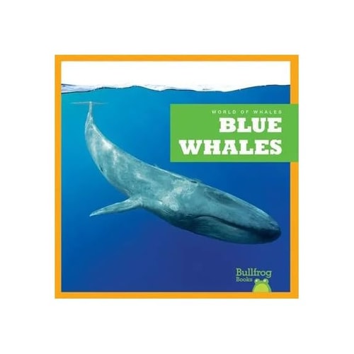 Blue Whales