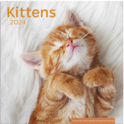 Kittens 2024 Wall Calendar