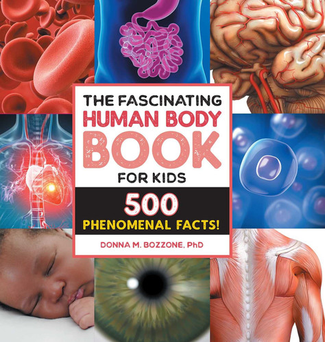The Fascinating Human Body Book for Kids 500 Phenomenal Facts!