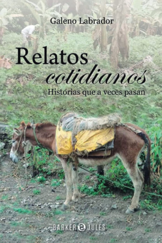 Relatos Cotidianos: Historias que a veces pasan (Spanish Edition)
