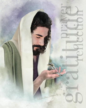 Prayer Gratitude Reflection "Seen" A 90-Day Journal for Women to Create a More Inspired, Faith-Focused, and Mindful Life