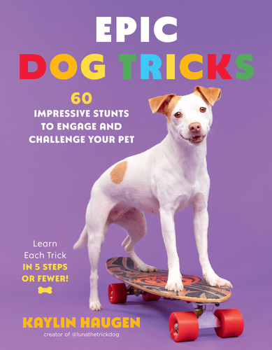 Epic Dog Tricks