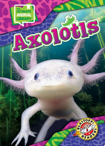 Axolotls