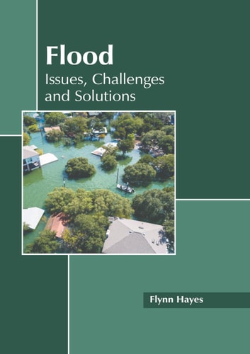 Flood: Issues, Challenges and Solutions