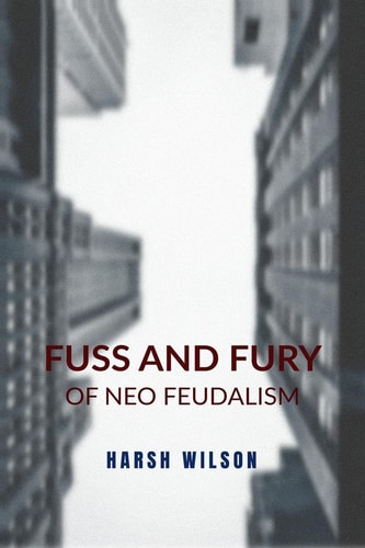 Fuss and Fury Of Neo Feudalism