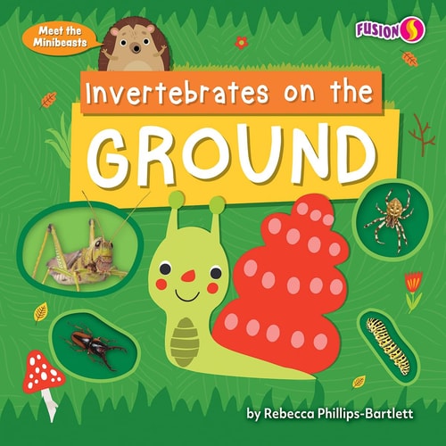 Invertebrates on the Ground