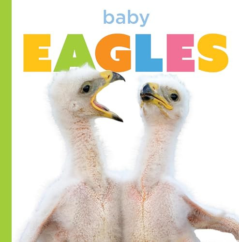 Baby eagles