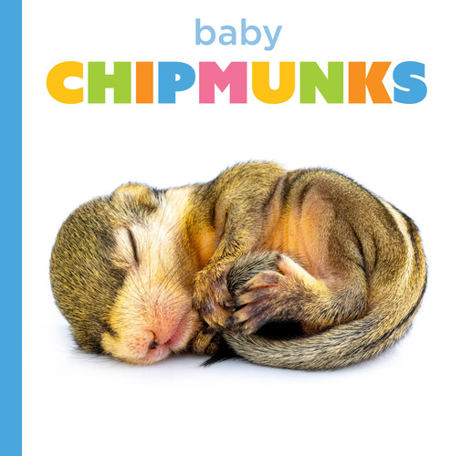 Baby chipmunks