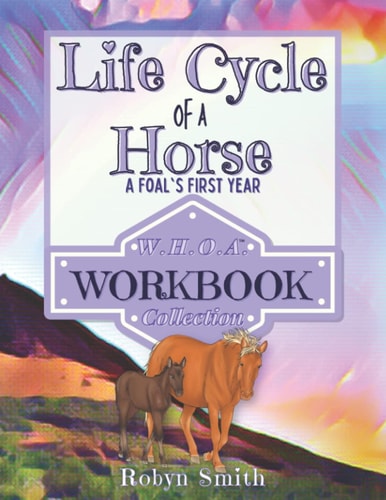 The Life Cycle of a Horse A Foal's First Year