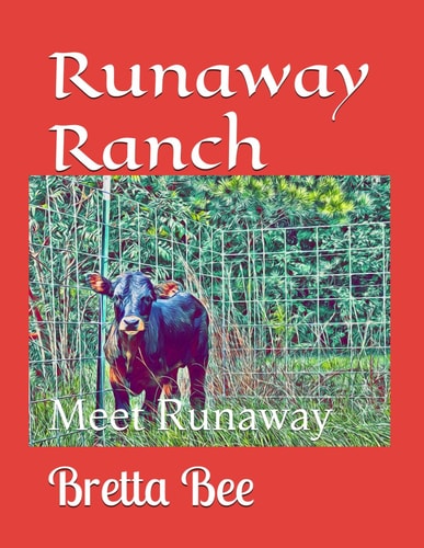 Runaway Ranch: Meet Runaway
