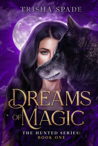 Dreams of Magic The Hunted Series: Book One