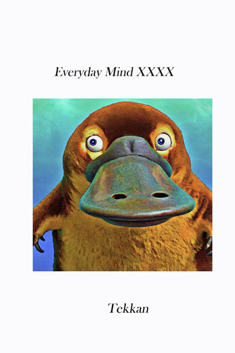 Everyday Mind XXXX