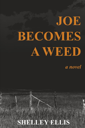 Joe Becomes a Weed