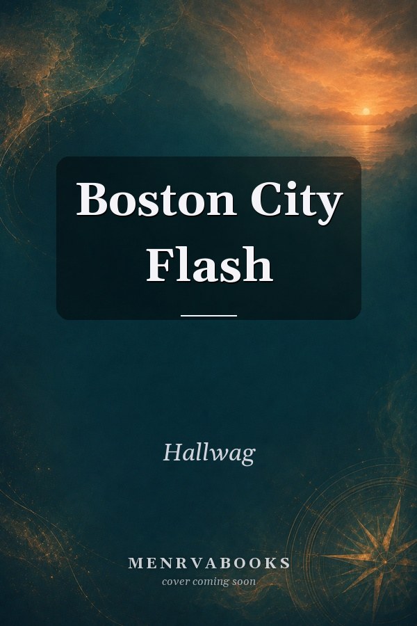 Boston City Flash