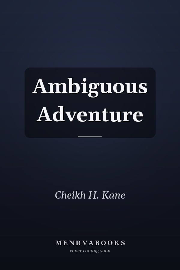 Ambiguous Adventure