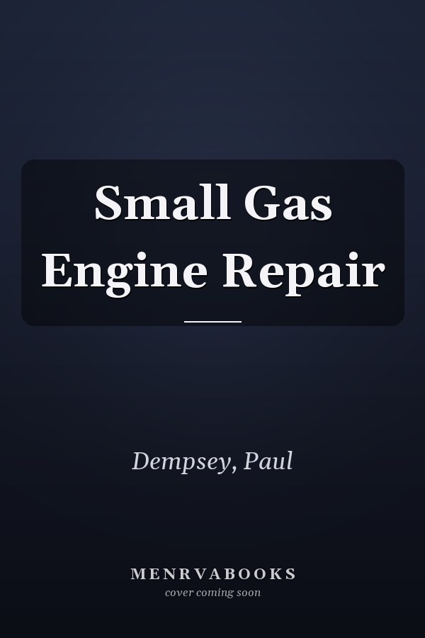 Small Gas Engine Repair
