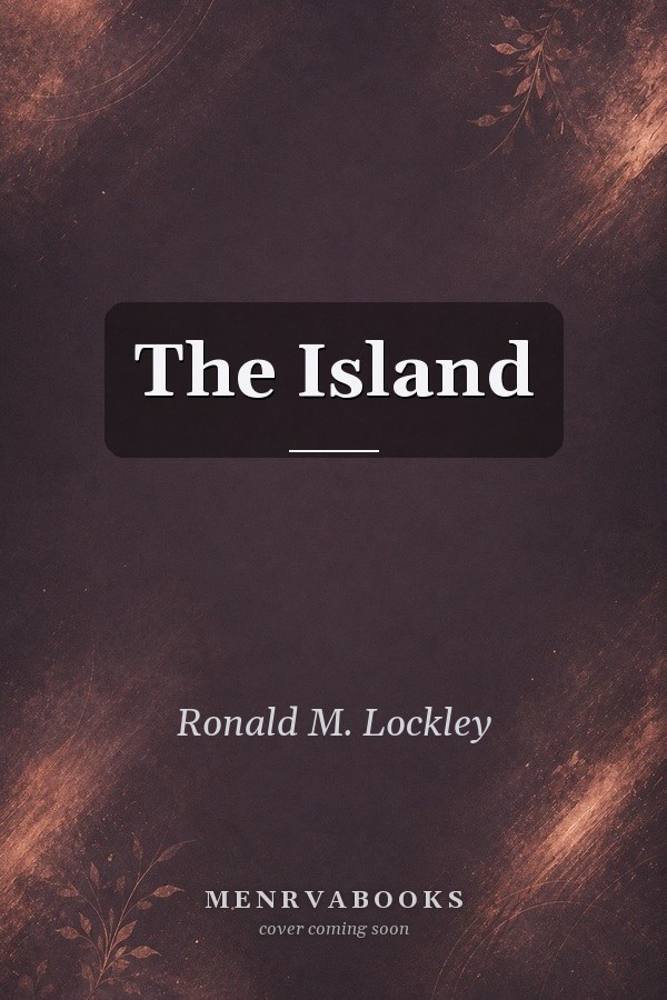 The Island