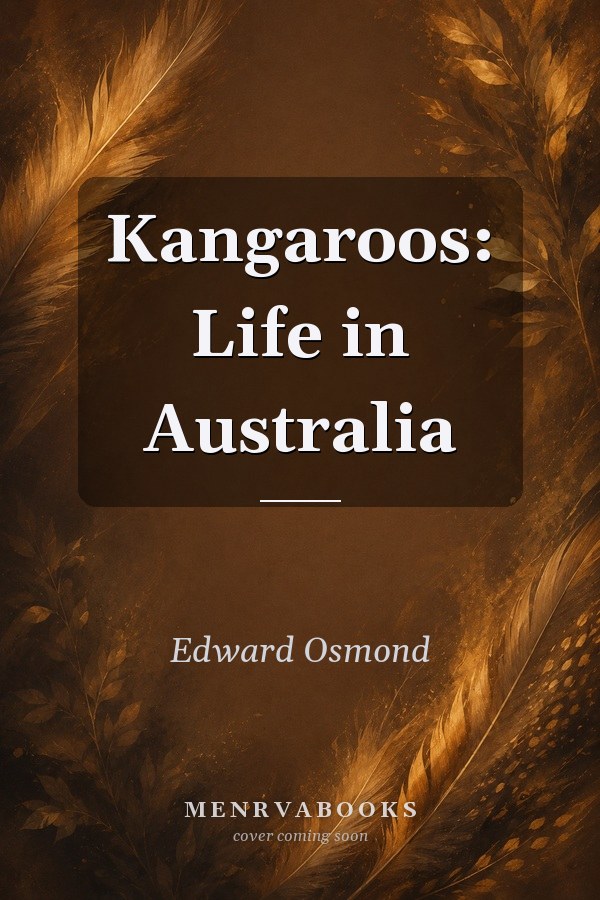 Kangaroos: Life in Australia
