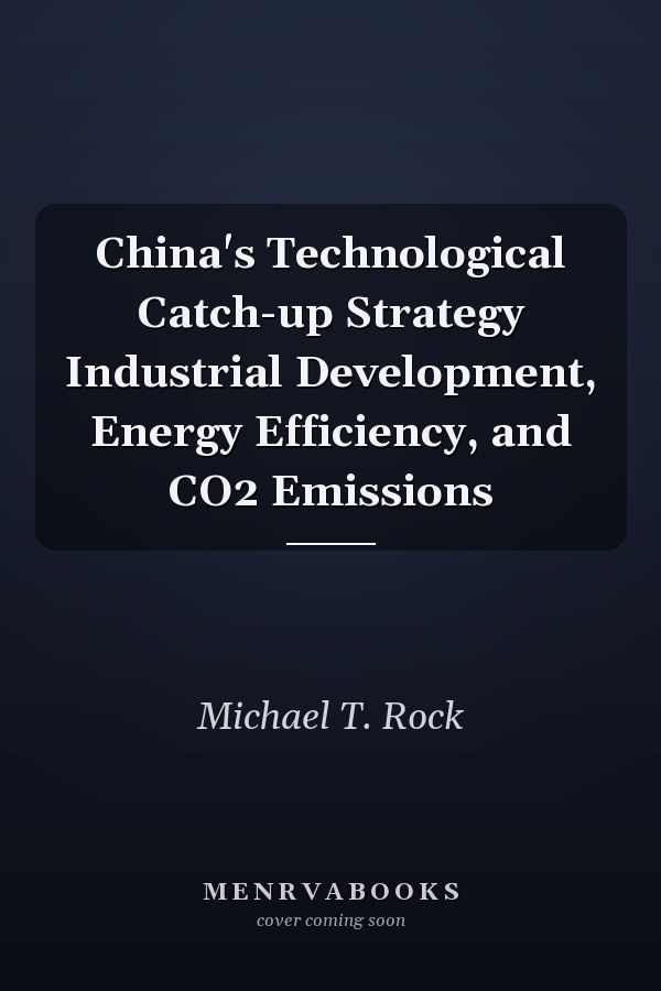 China's Technological Catch-up Strategy Industrial Development, Energy Efficiency, and CO2 Emissions