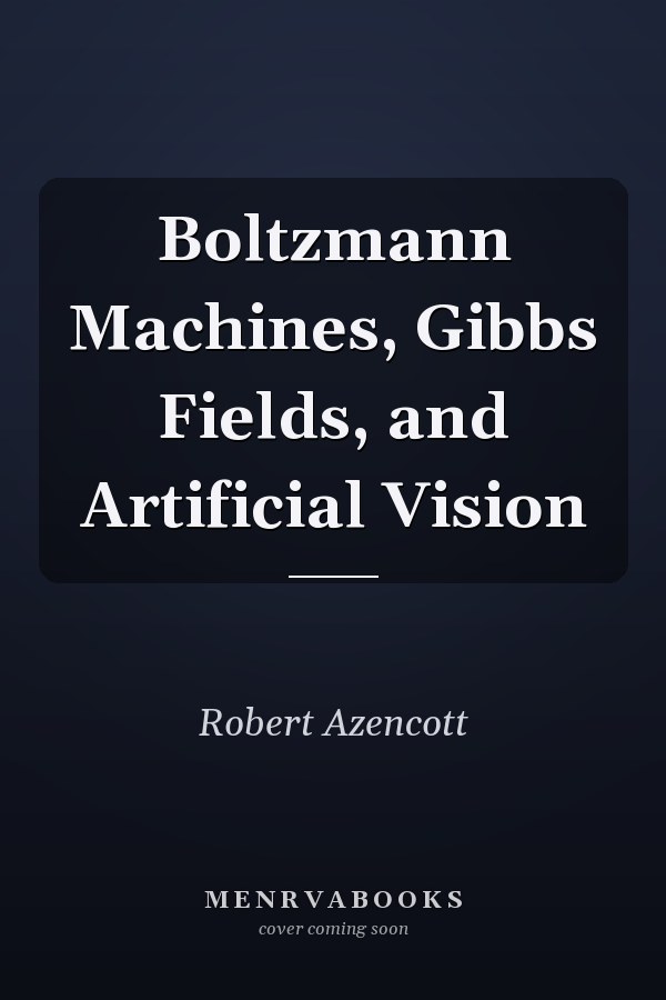 Boltzmann Machines, Gibbs Fields, and Artificial Vision