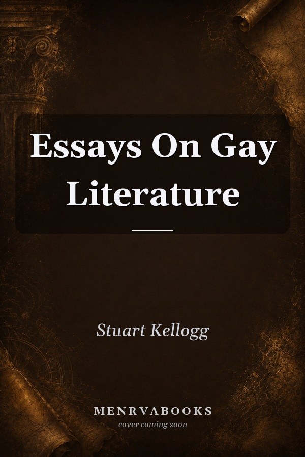 Essays On Gay Literature