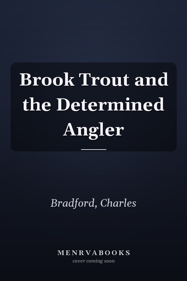 Brook Trout and the Determined Angler