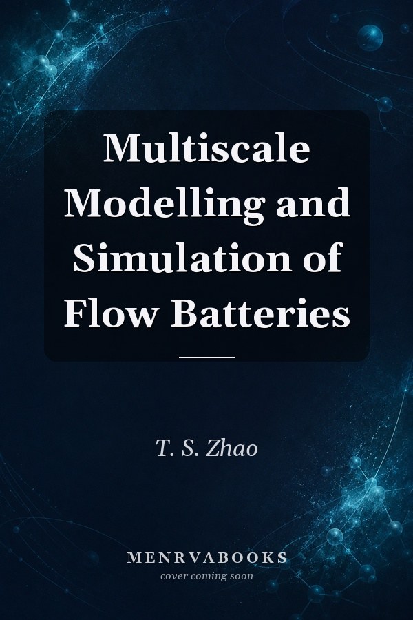 Multiscale Modelling and Simulation of Flow Batteries