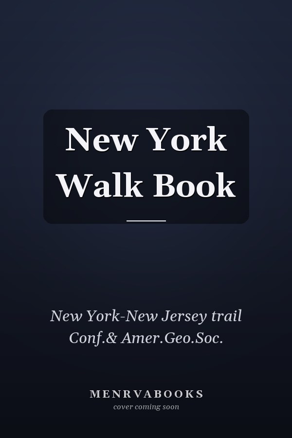 New York Walk Book