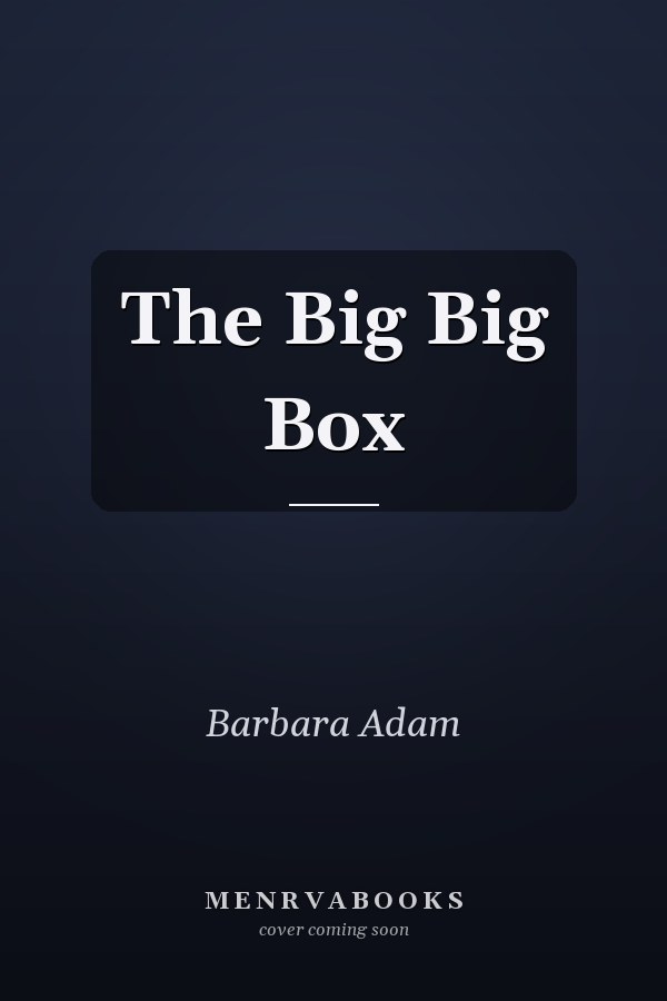 The Big Big Box