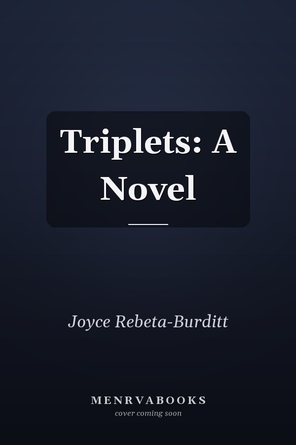 Triplets: A Novel