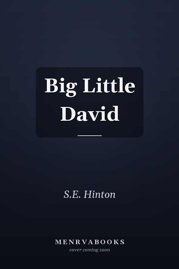 Big Little David