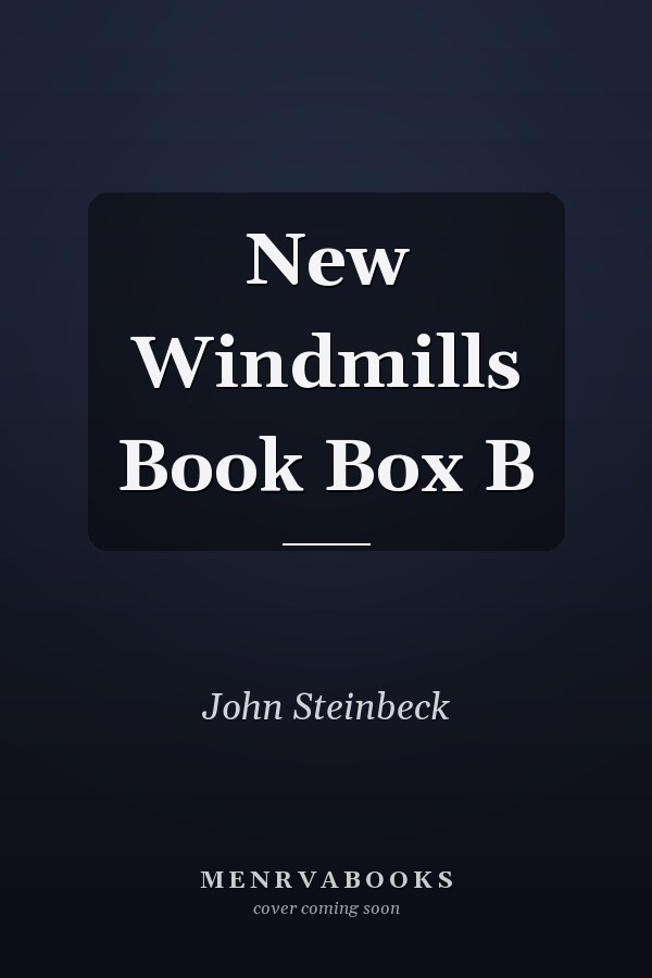 New Windmills Book Box B