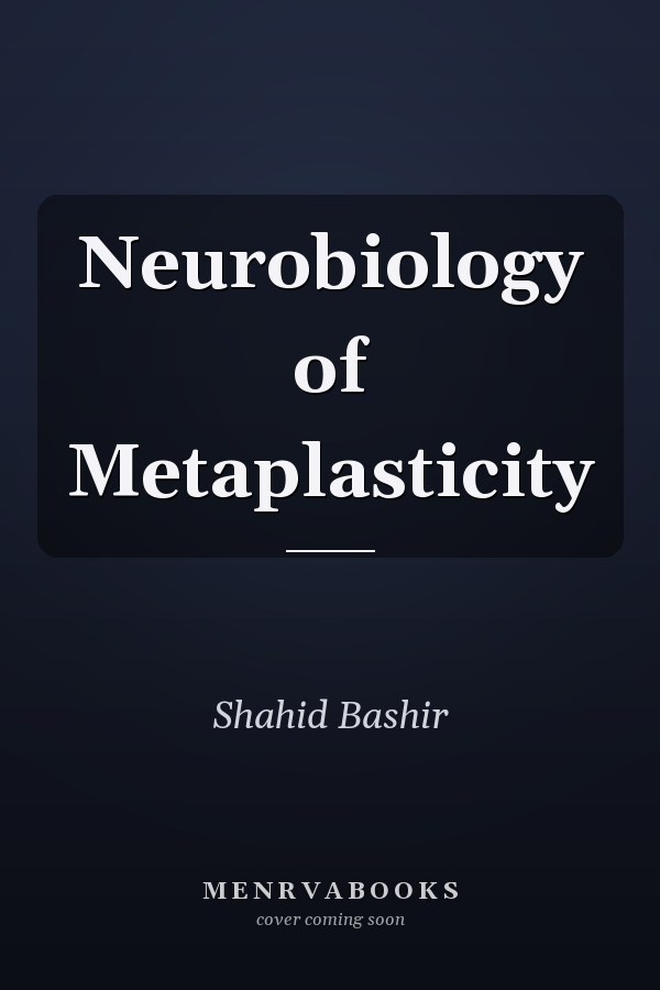 Neurobiology of Metaplasticity