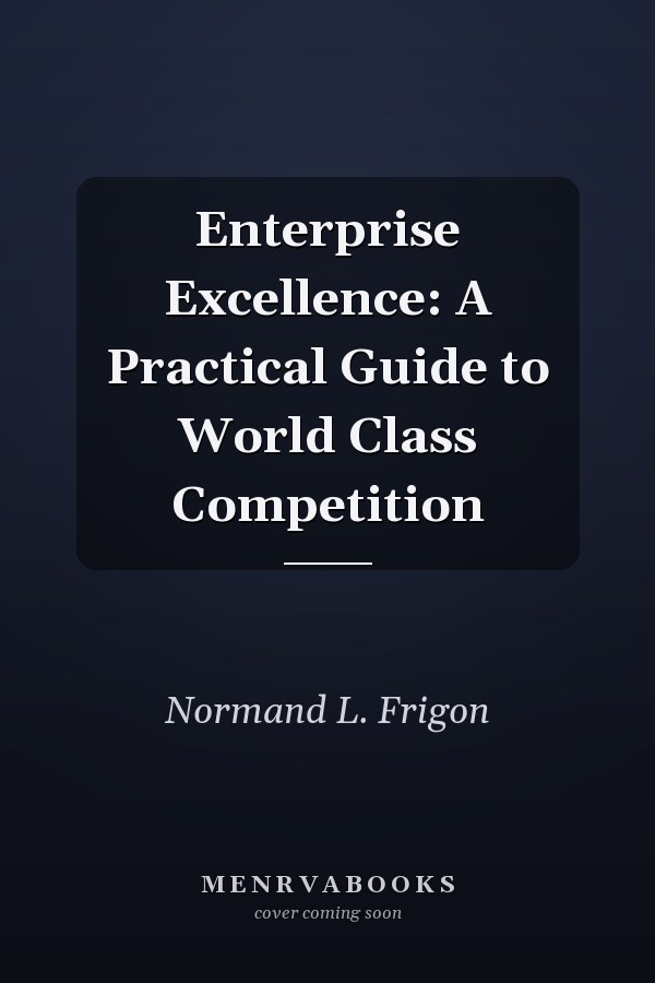 Enterprise Excellence: A Practical Guide to World Class Competition