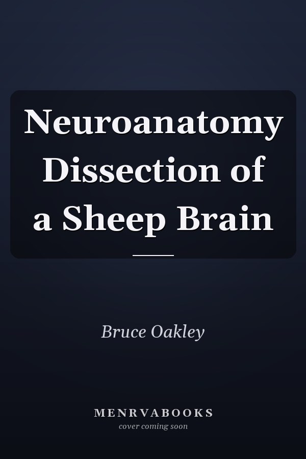 Neuroanatomy Dissection of a Sheep Brain