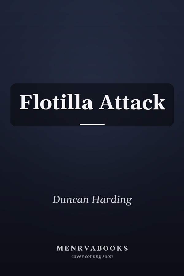 Flotilla Attack