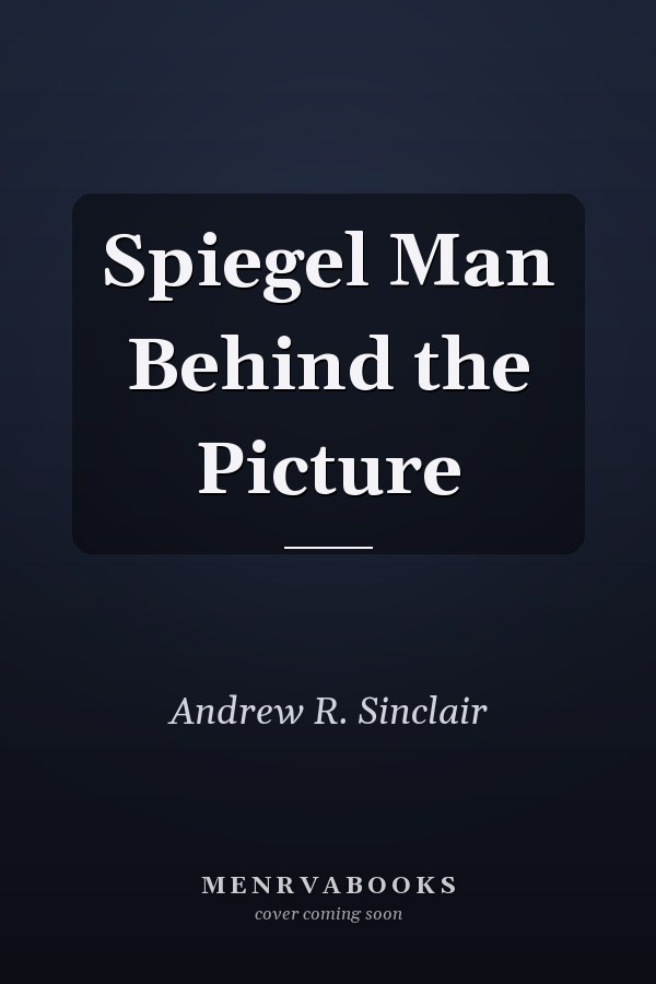 Spiegel Man Behind the Picture