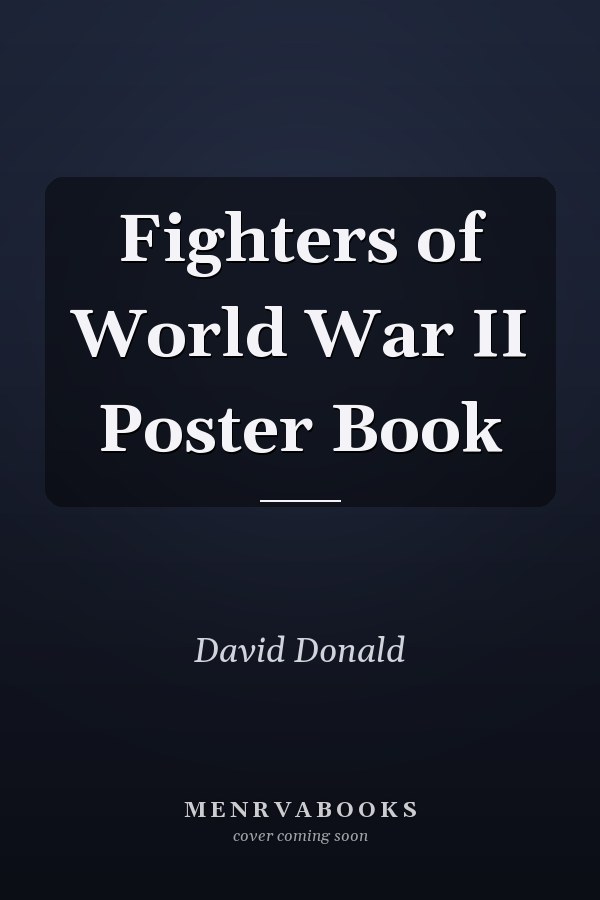 Fighters of World War II Poster Book