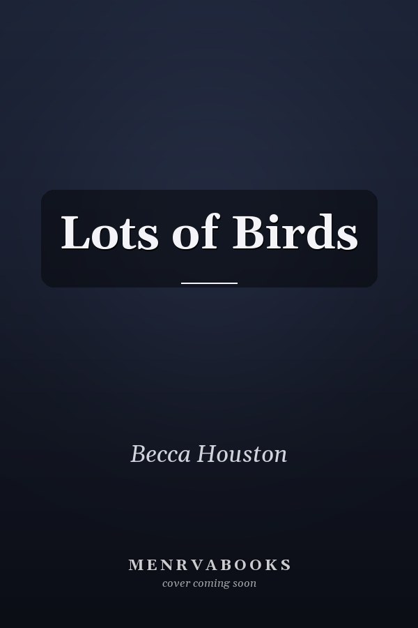 Lots of Birds