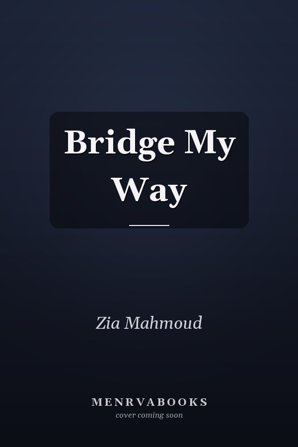 Bridge My Way