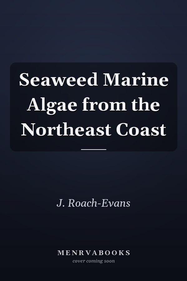 Seaweed Marine Algae from the Northeast Coast