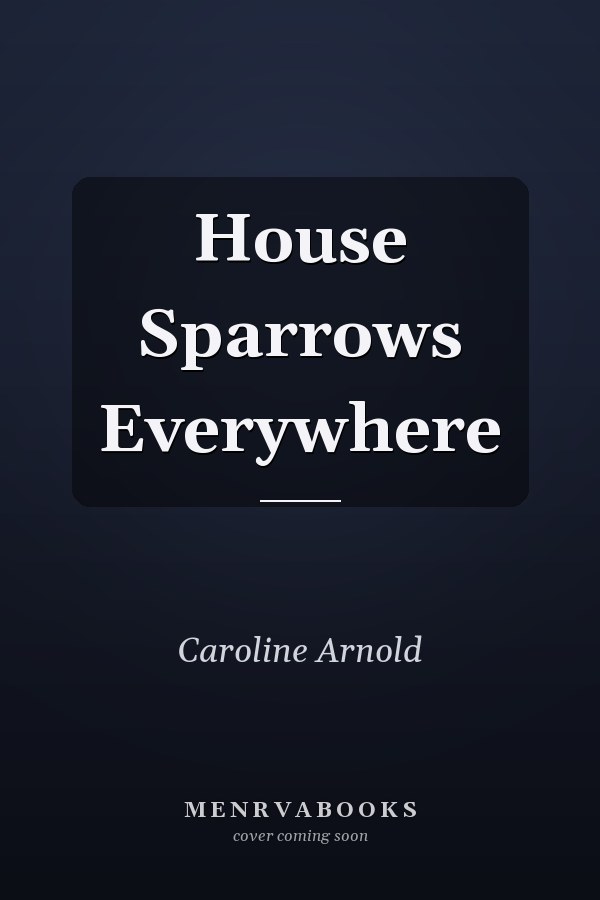 House Sparrows Everywhere