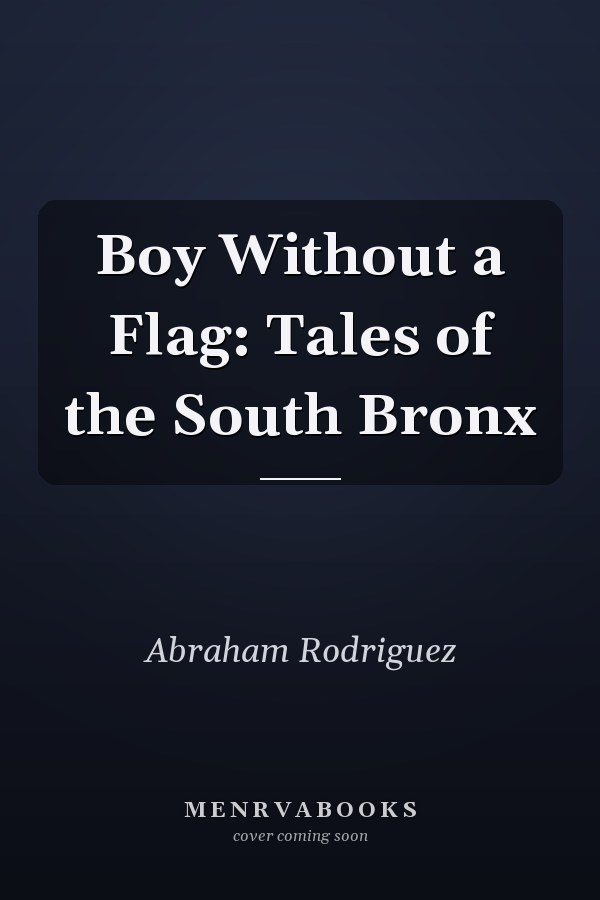 Boy Without a Flag: Tales of the South Bronx