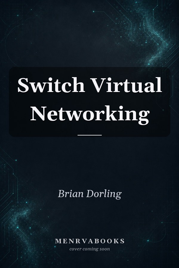 Switch Virtual Networking