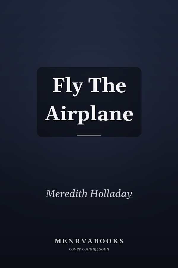 Fly The Airplane