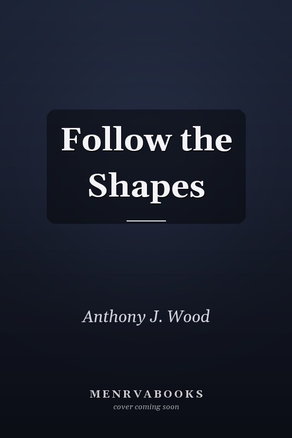 Follow the Shapes