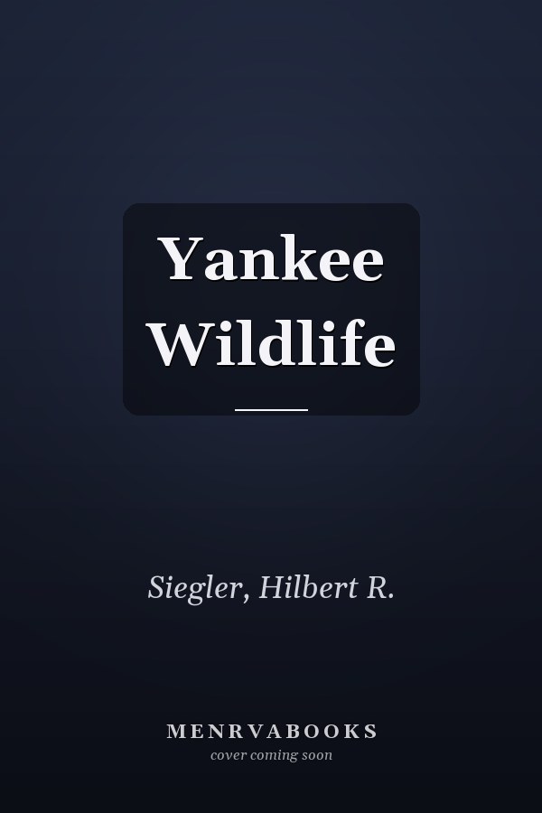 Yankee Wildlife