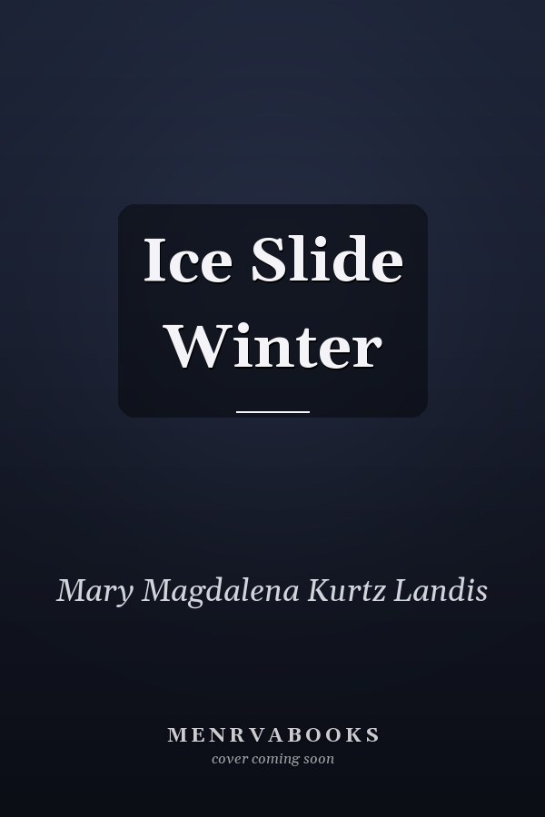 Ice Slide Winter