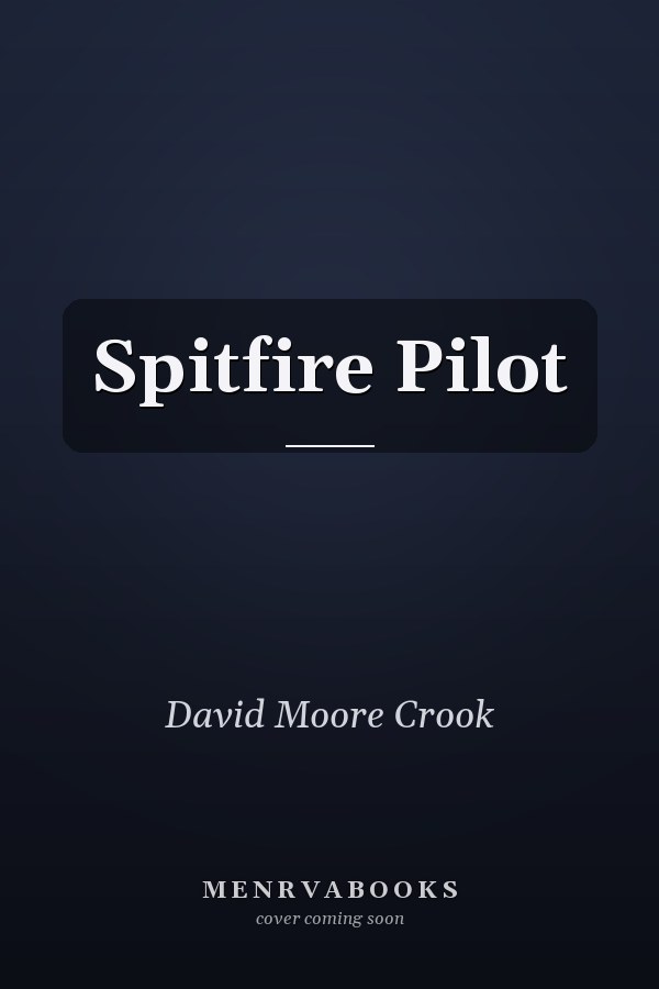 Spitfire Pilot